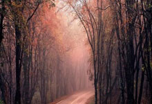 战绩处于榜首之列队伍严阵以待