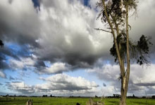 欧预赛：意大利队憾负西班牙队，遗憾出局