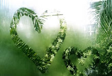 战绩处于榜首之列队伍严阵以待