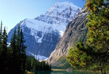 猛龙防守进步明显，伦纳德率队连胜