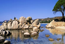 快船队交易传闻再度引发热议