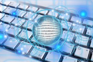 九游官网入口活动-体育新闻中心发布体育内容版权纠纷解决方案，体育新闻侵权  第3张